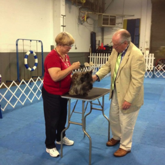 Dr Bob Myall judging at 
2013 TAO B Match